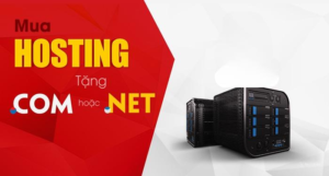 Tặng tên miền miễn phí tại Bắc Ninh Agency